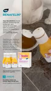 Viyo Renafelin Kedi Böbrek Koruyucu Destekleyici Vitamin