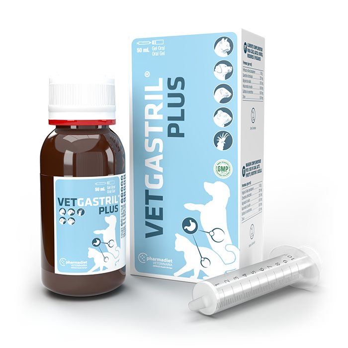 YNC Vetgastril Plus 50ml