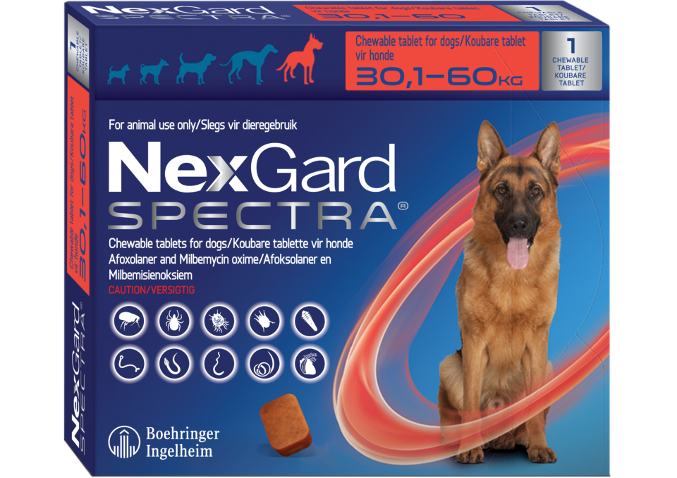 3 KUTU Nexgard Spectra (30-60 kg) Köpekler İçin 1 Kutu